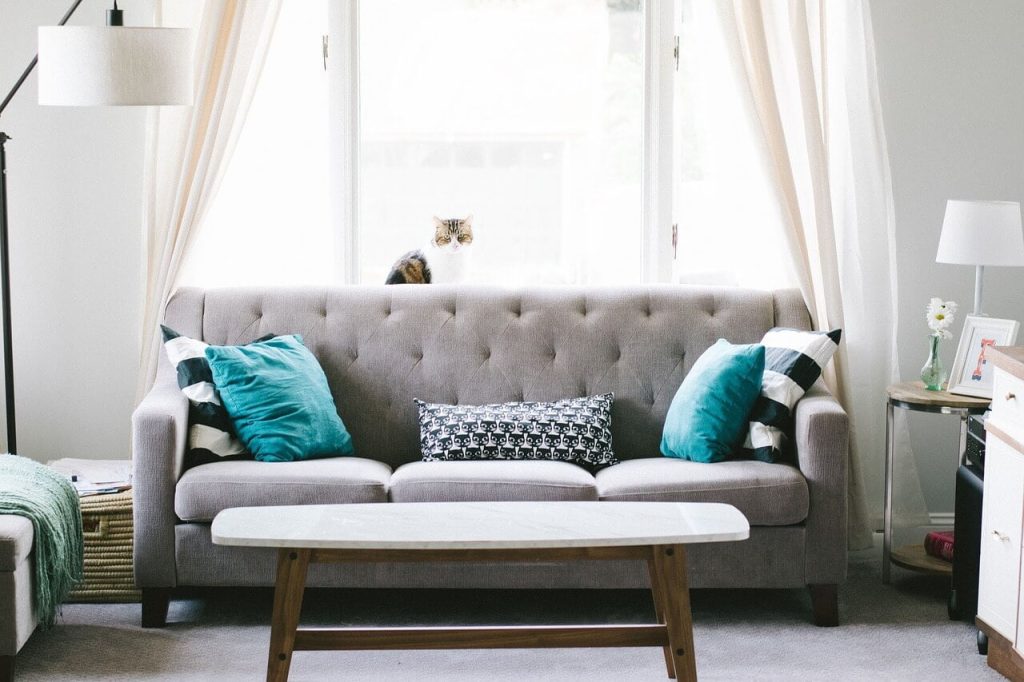 A modern living room