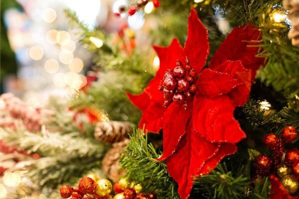 Christmas decor red flower